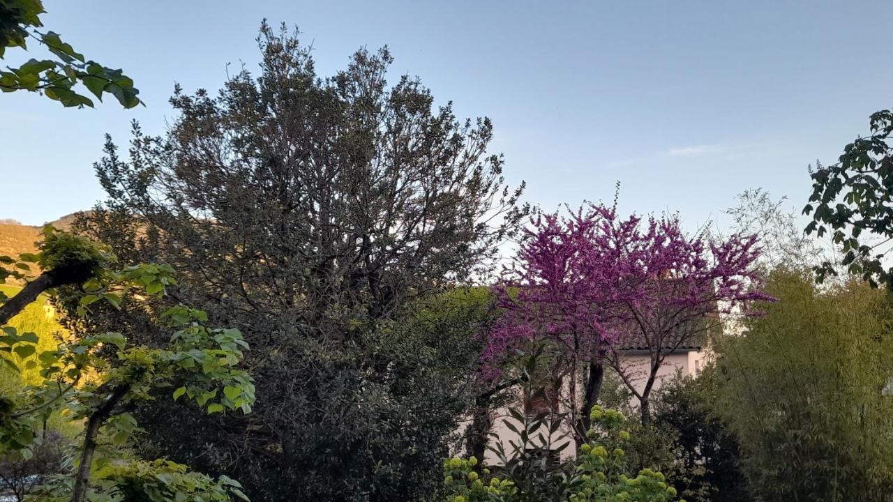 Appartement Le Du Tarn Aguessac